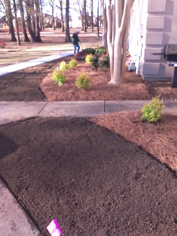 Commercial Projects - 1