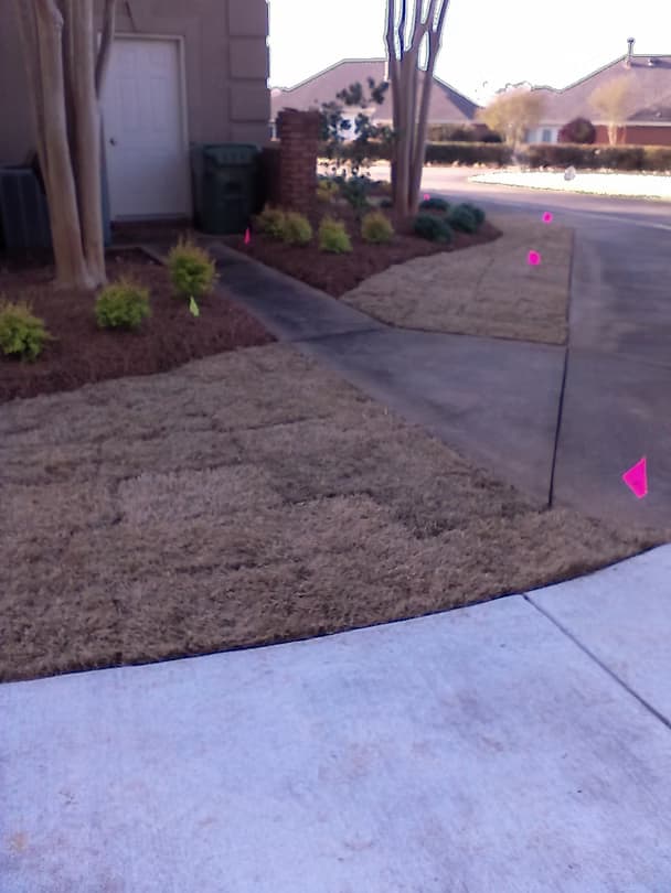 Commercial Projects - 6