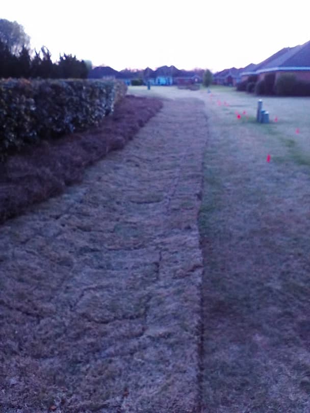 Commercial Projects - 8