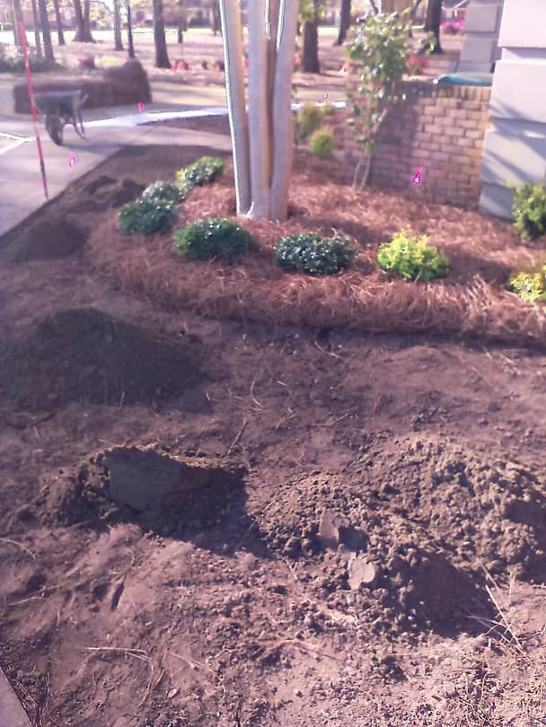 Commercial Projects - 13