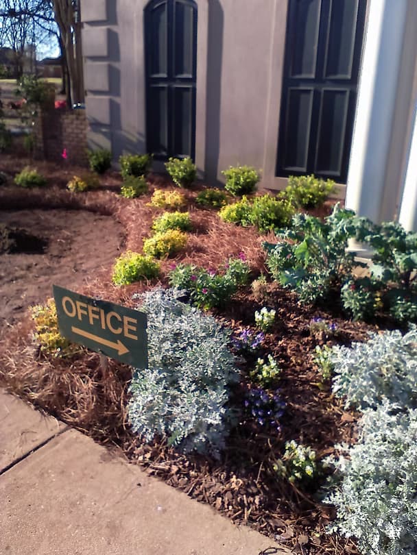 Commercial Projects - 17