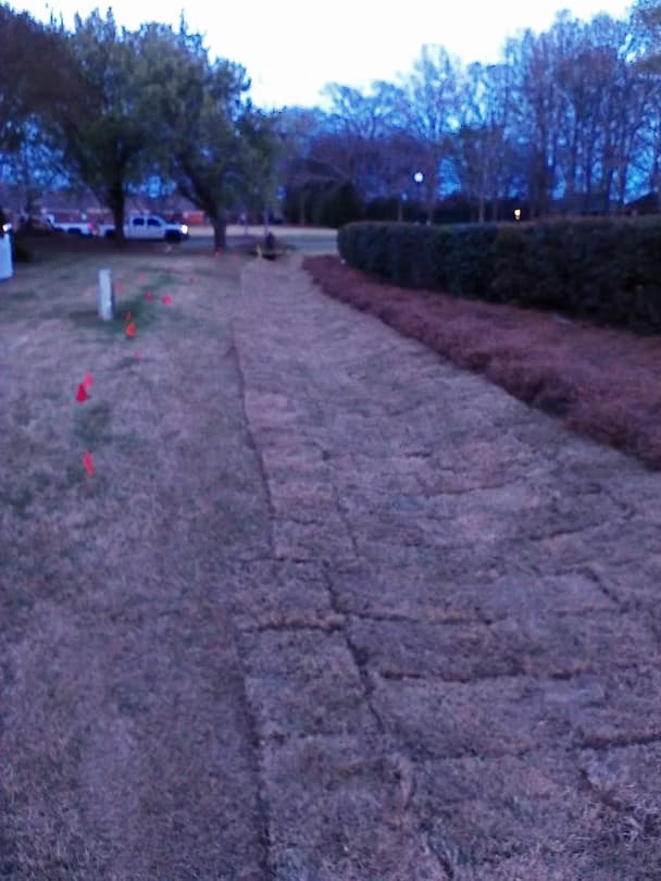 Commercial Projects - 24