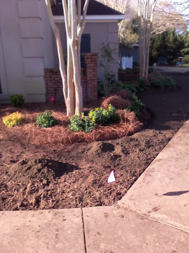 Commercial Projects - 25