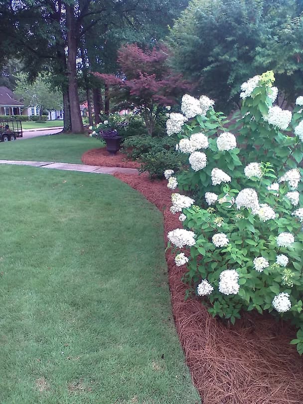 Complete Transformations - 8