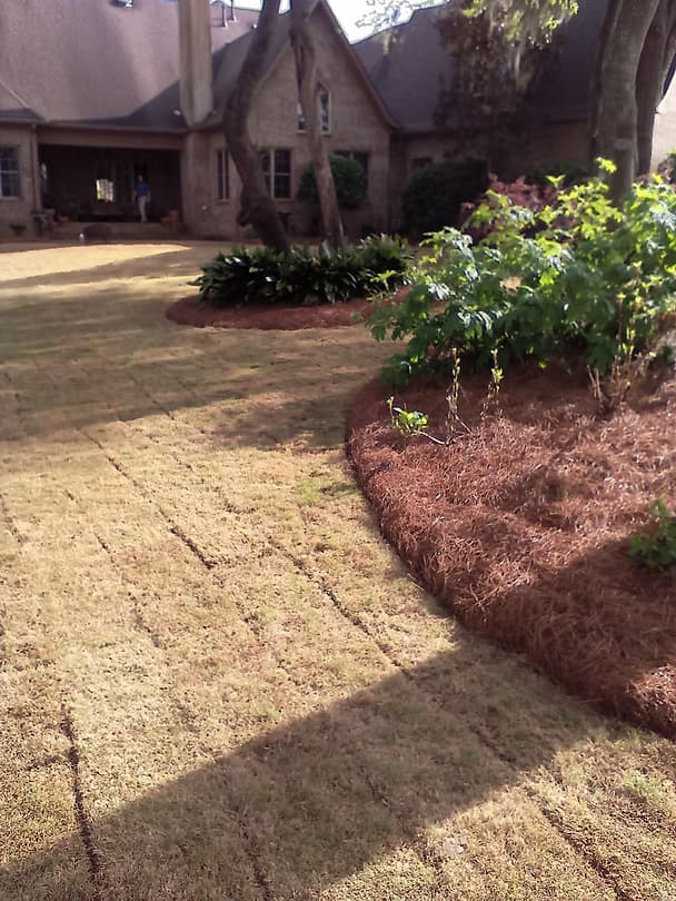 Complete Transformations - 11