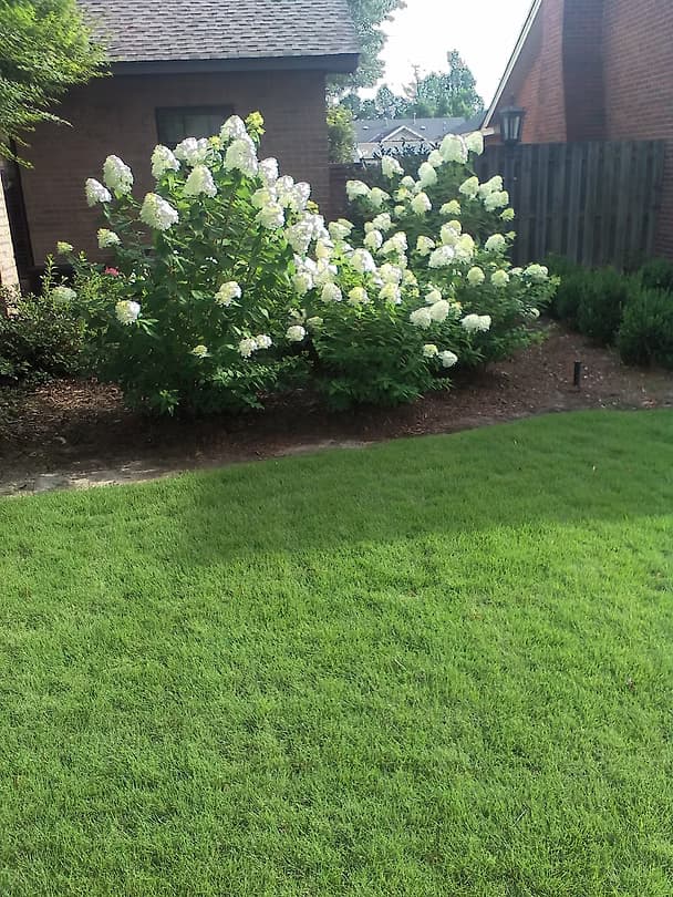 Complete Transformations - 15