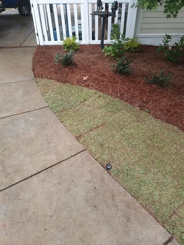 Complete Transformations - 16