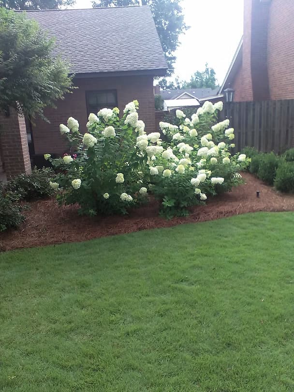 Complete Transformations - 17