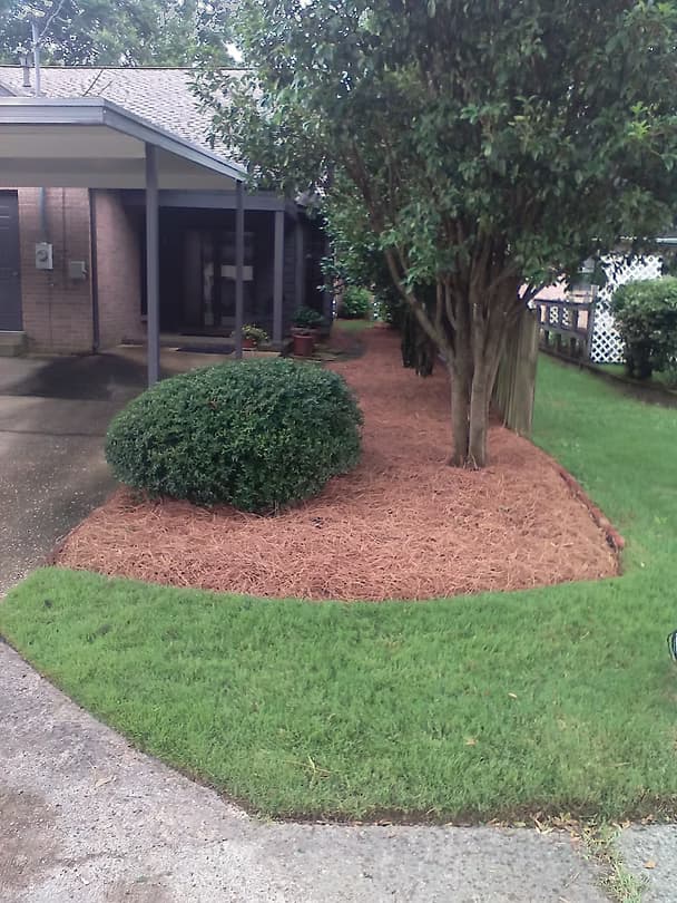 Complete Transformations - 22