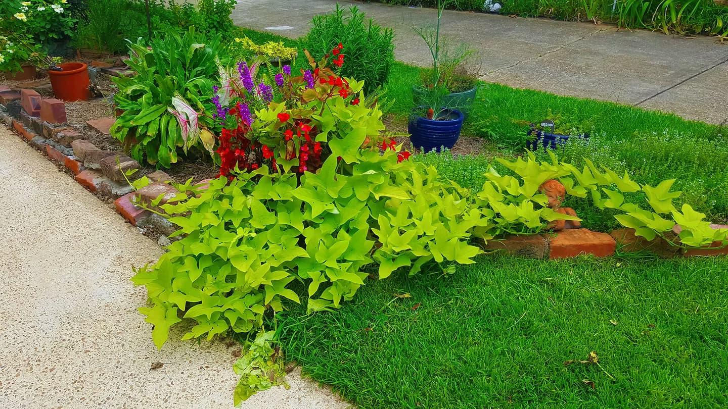 Landscape Designs - 4