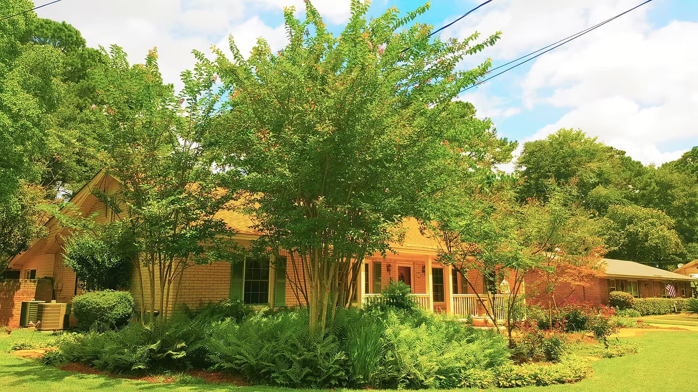 Landscape Designs - 23