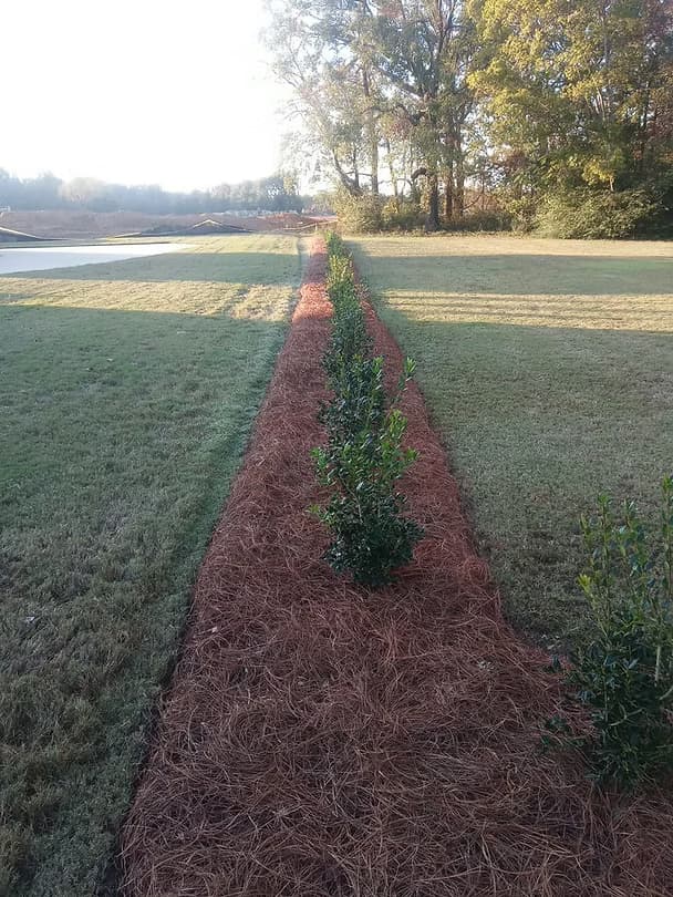 Landscape Designs - 27