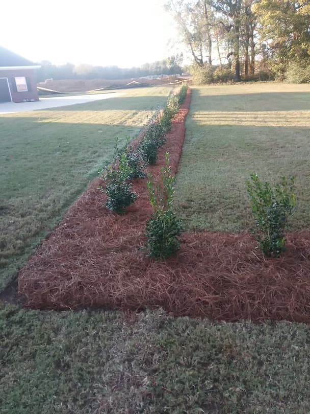 Landscape Designs - 28