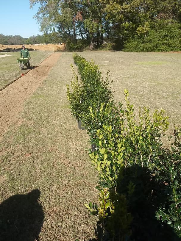 Landscape Designs - 29