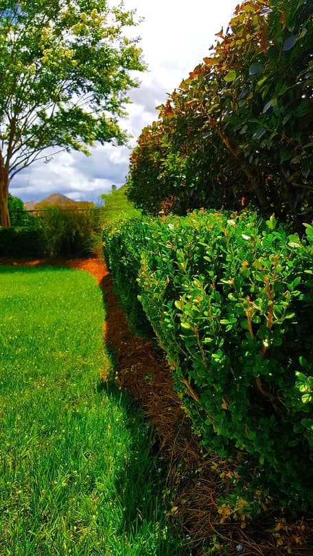 BTOP Landscaping team at work